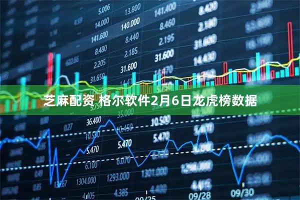 芝麻配资 格尔软件2月6日龙虎榜数据