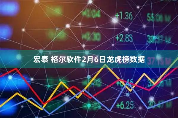 宏泰 格尔软件2月6日龙虎榜数据