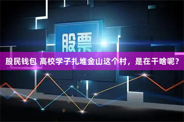 股民钱包 高校学子扎堆金山这个村，是在干啥呢？