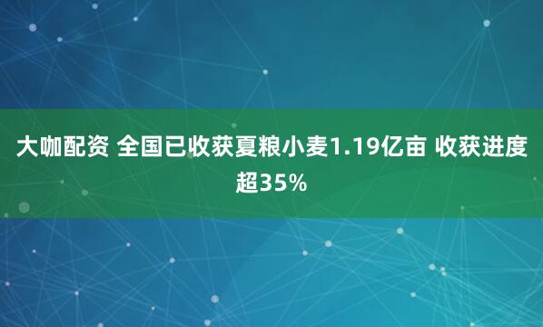 大咖配资 全国已收获夏粮小麦1.19亿亩 收获进度超35%